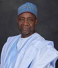 Professor M.S Haruna